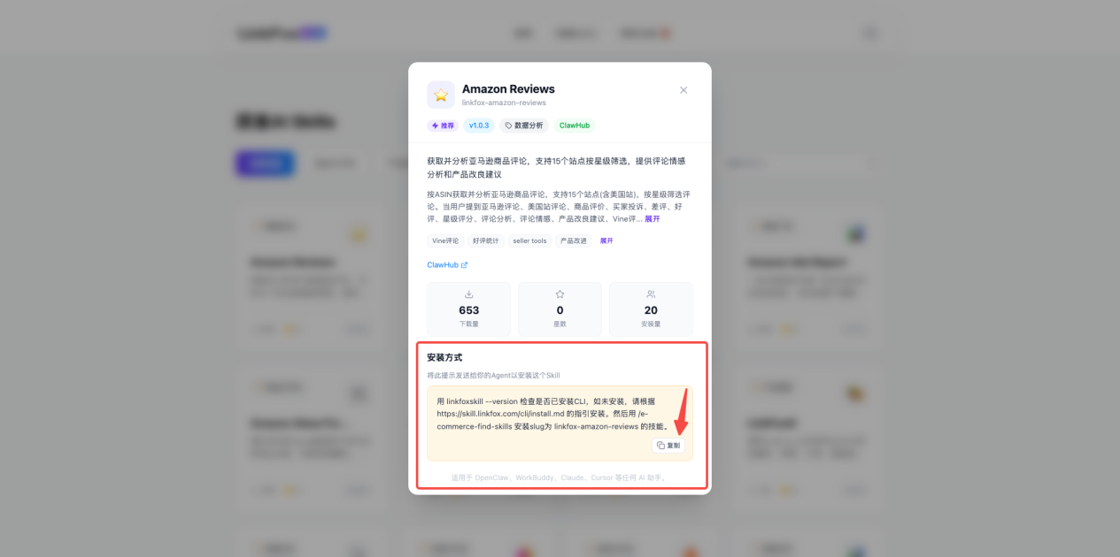 其他 AI 助手 - 安装完成