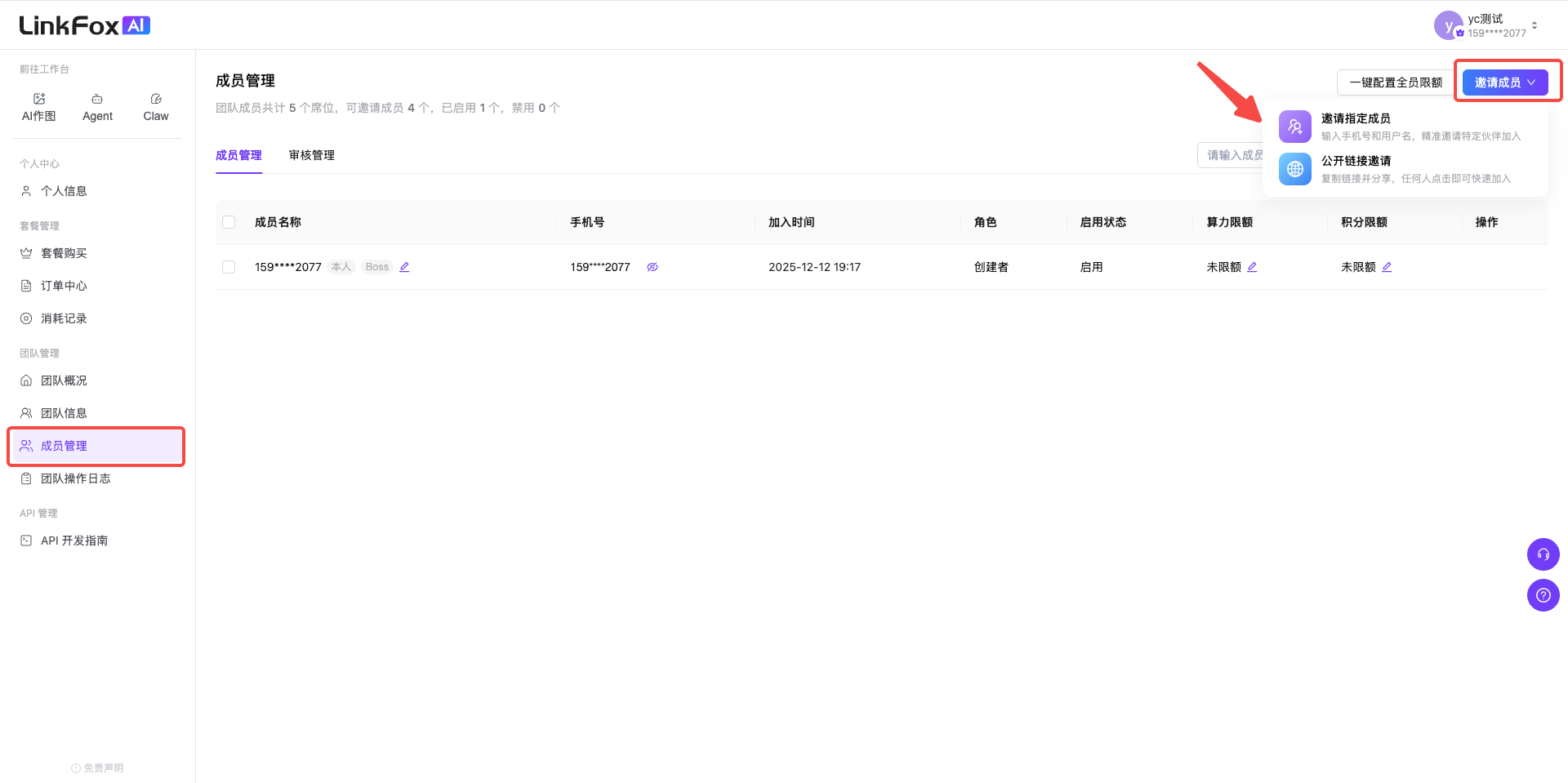 图片展示的是LinkFox AI团队管理中成员管理页面。页面左上角有导航栏，选中“成员管理”。页面中部是